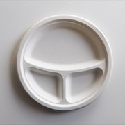 Piatti in canna da zucchero compostabili